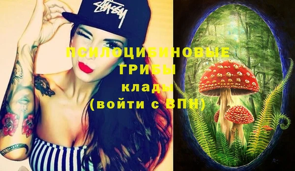 круглые Алексеевка