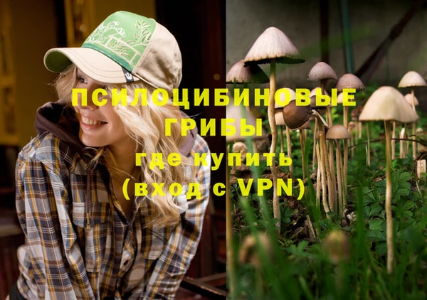 круглые Алексеевка